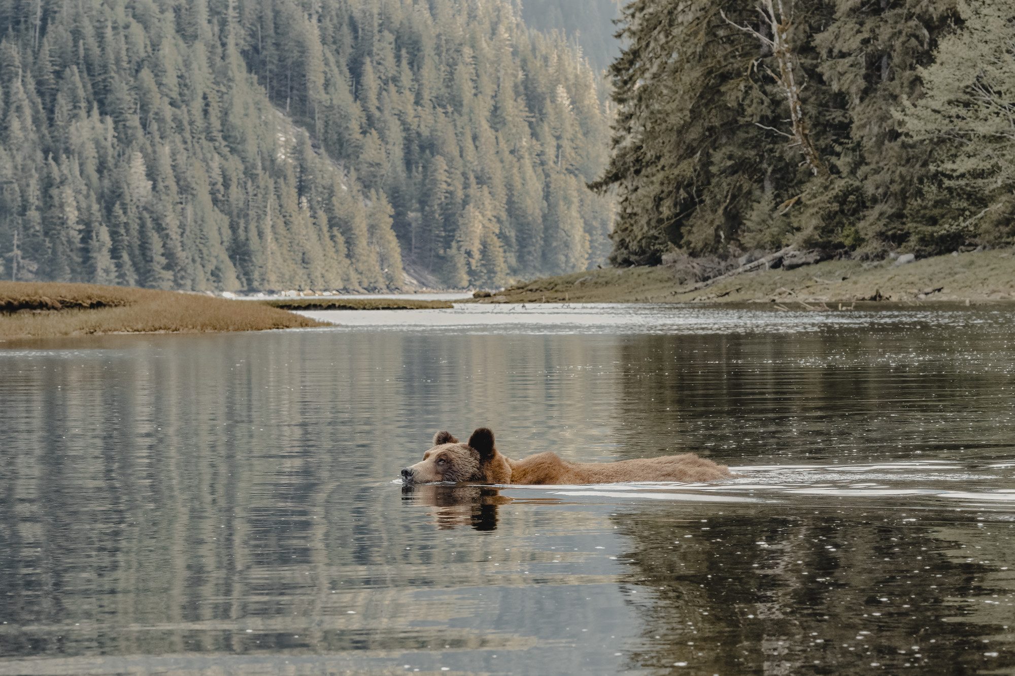 A Journey of Spectacular Nature & Wild Adventure