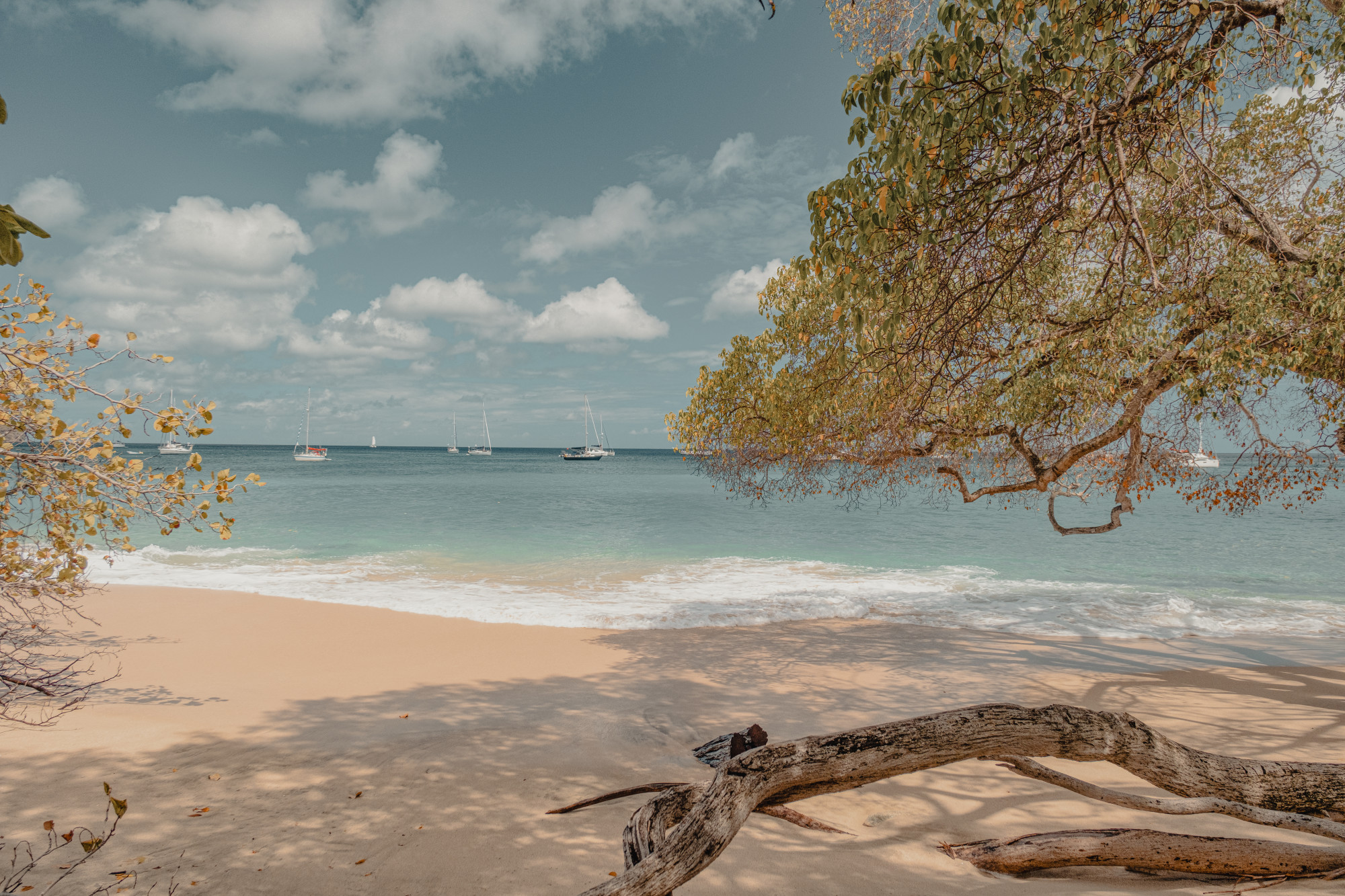 An Extended Journey from Ocean Calm to Vibrant Culture
