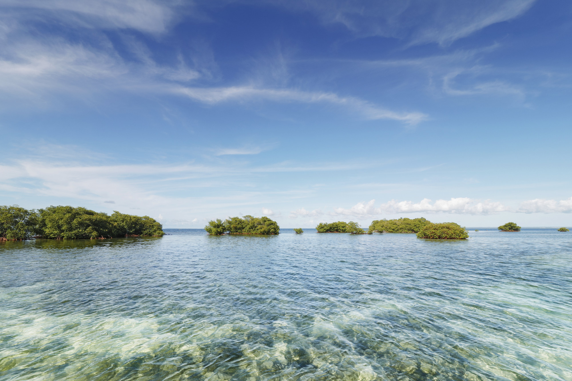 A Journey of Spectacular Festivities & Caribbean Wonders