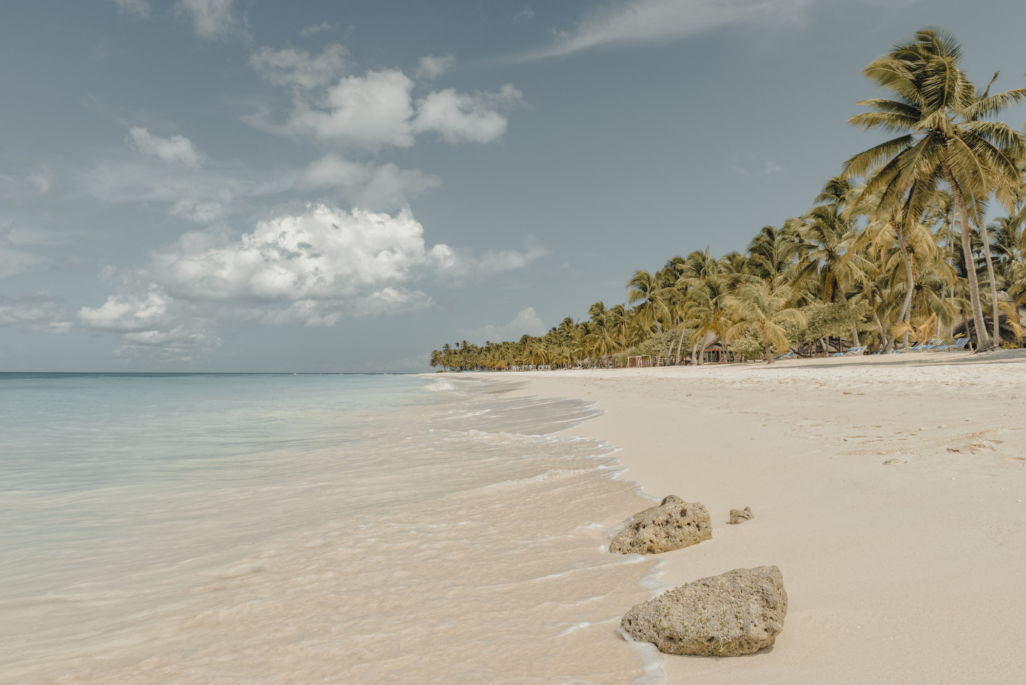 An Extended Journey of Dazzling Skylines & Wildlife Exploration