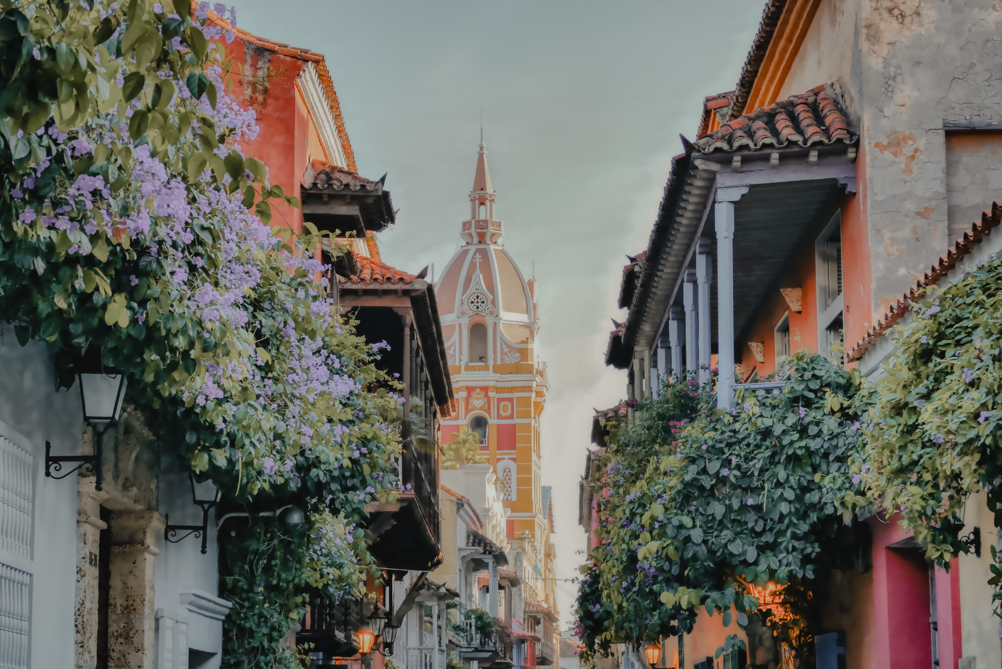 A Journey through Enchanting Nature & the Marvels of the Panama Canal