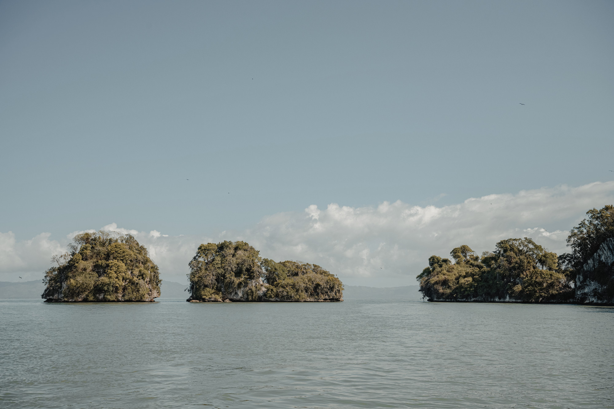 A Journey from From Hidden Shores to Timeless Elegance