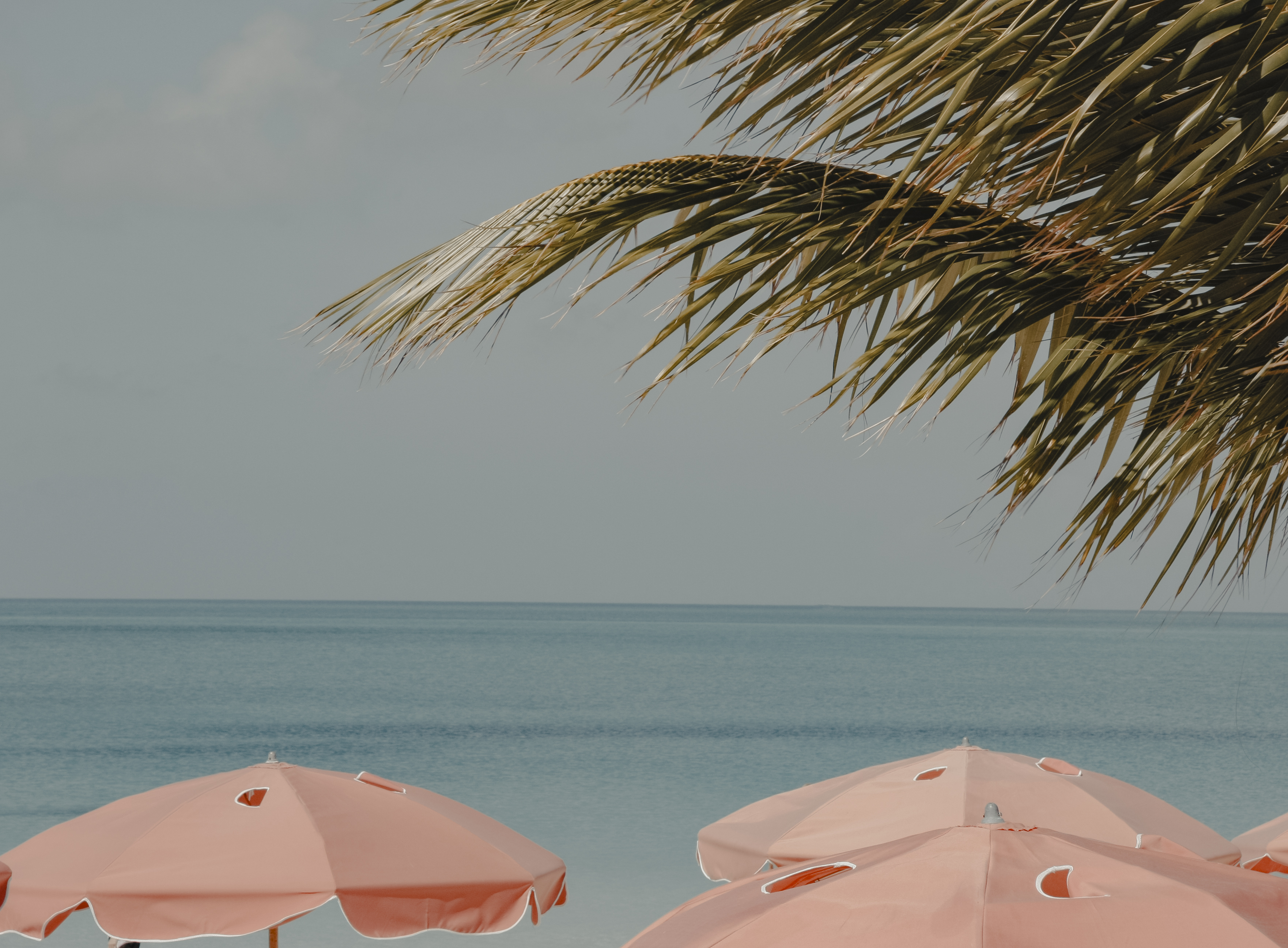 An Extended Journey of Natural Allure & Captivating Culture