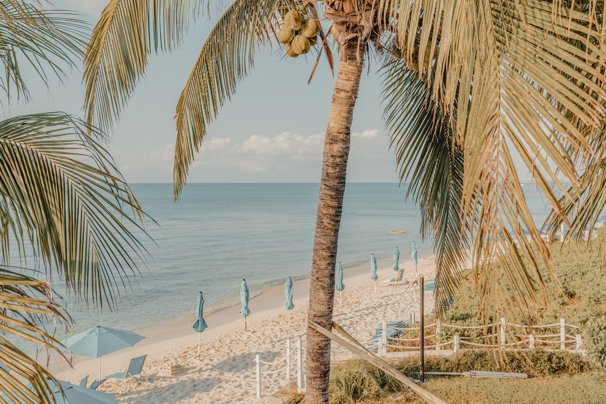 An Extended Journey through Caribbean Treasures & Peaceful Nature