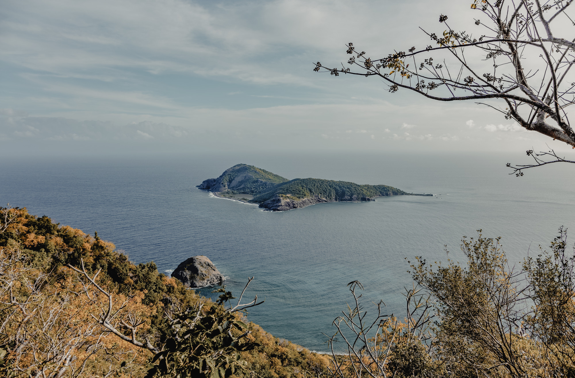 A Journey from Glorious Shorelines to Nature's Allure