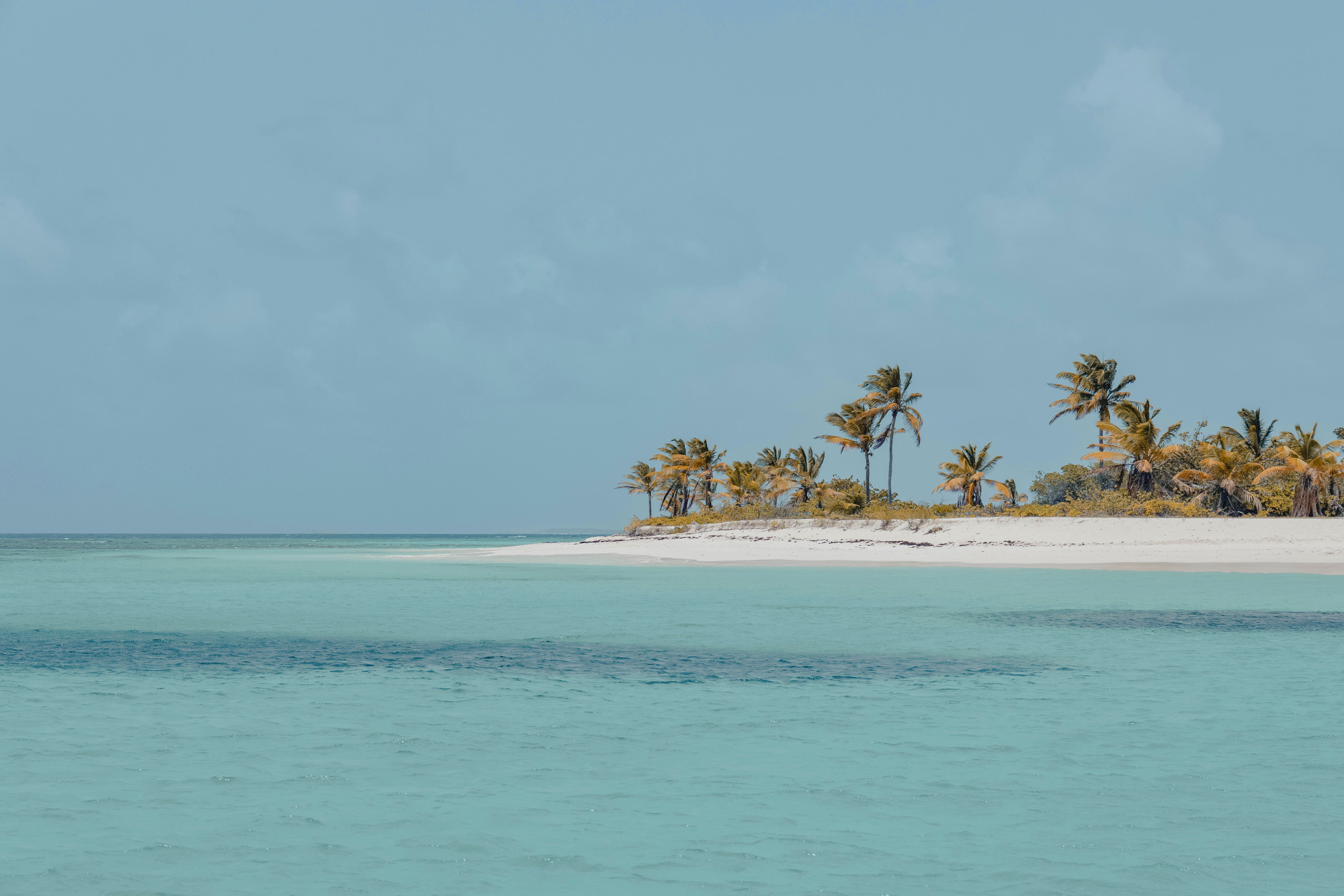 A Journey of Sunny Shores & Caribbean Island Bliss
