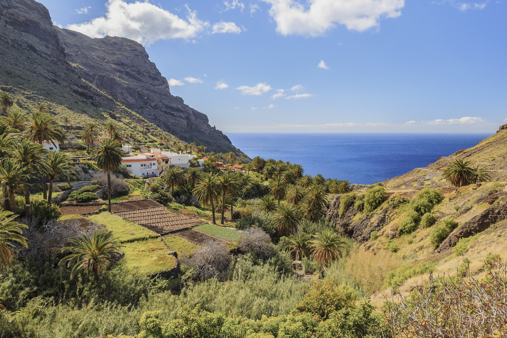 A Journey Through Volcanic Isles and Atlantic Gardens